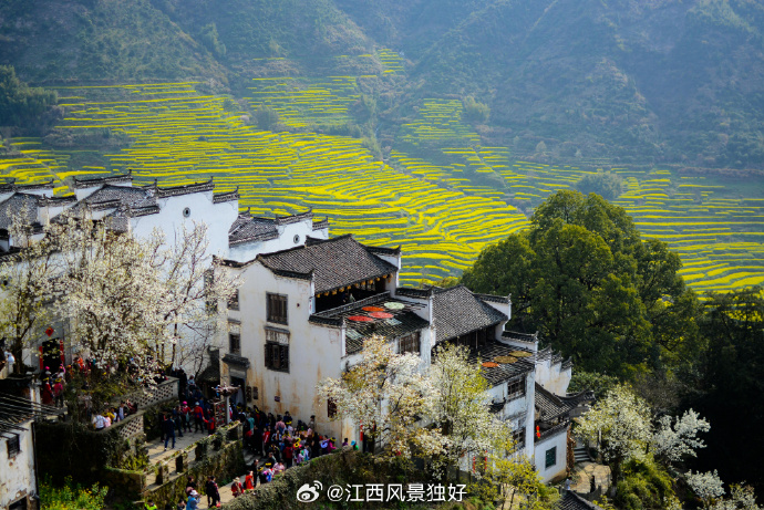 江西绿色崛起，打造可持续发展新引擎