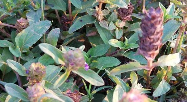 云南之旅，自然与文化的盛宴，探索天堂之旅的邀请！