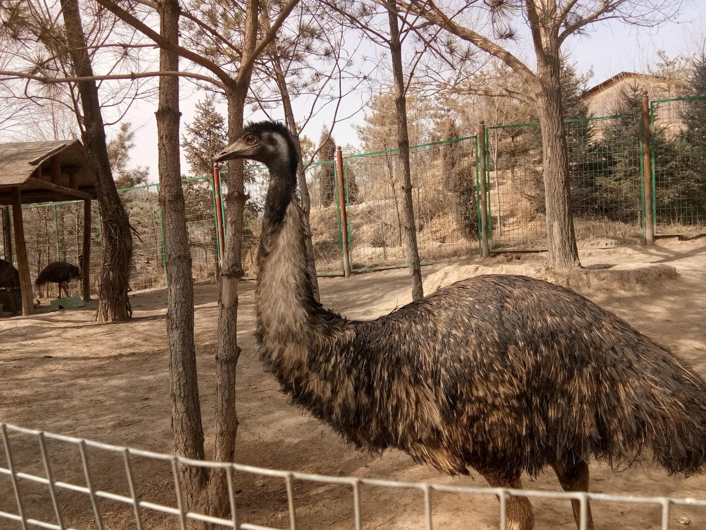 探寻神秘高原,青海的瑰丽篇章