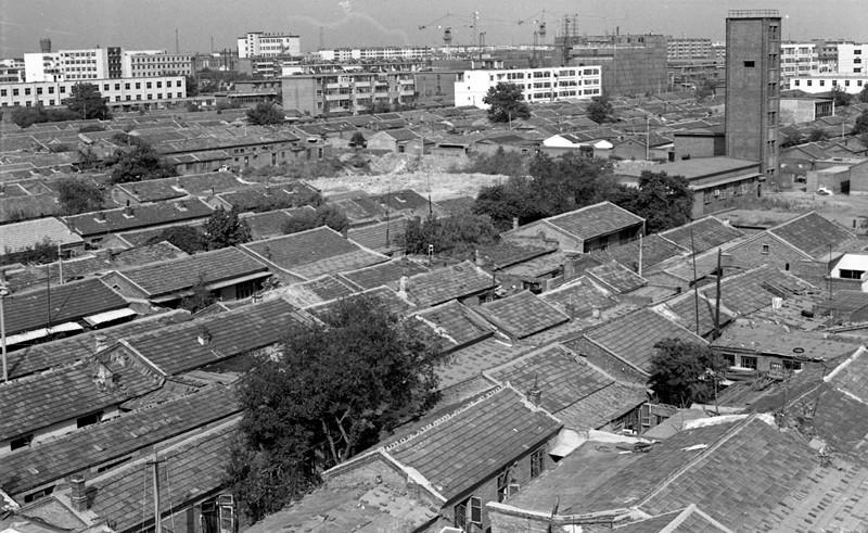 沧州小巷深处的味觉奇遇